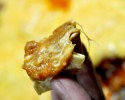 tailgating food