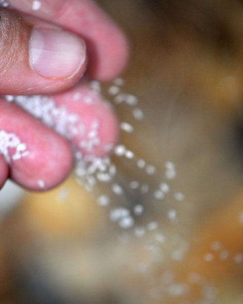 Kosher Salt