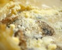 White Lasagna