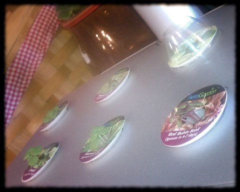AeroGarden at work