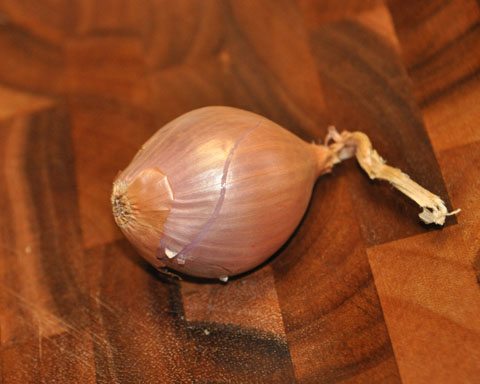 Shallot Shallot