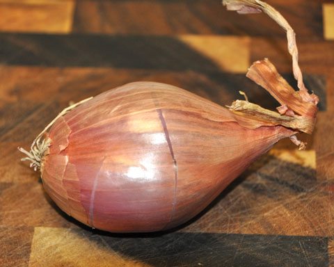 A Shallot