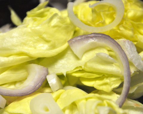 Shallot