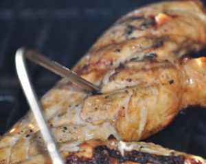 meat thermometer