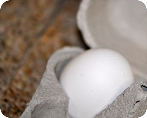 Egg