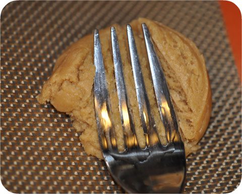 Fork