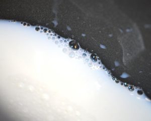 Milk
