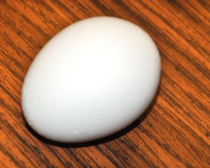 1 egg