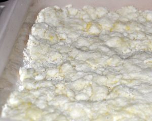 bottom crust