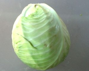 Cabbage