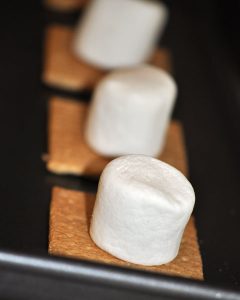 Marshmallow