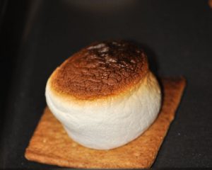 Toasted Marshmallow