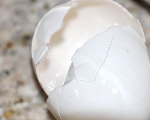 2 Eggs