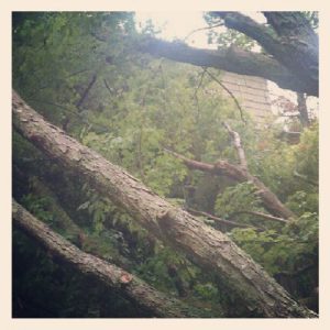 storm damage