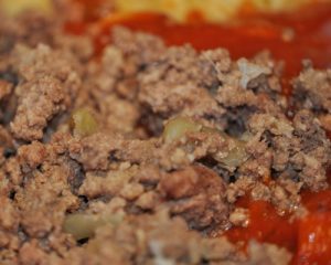 Seasoned Ground Beef