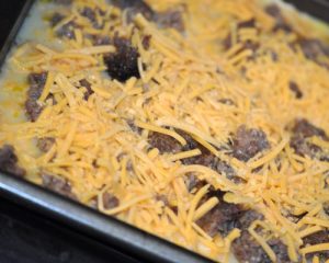 Shredded Cheese