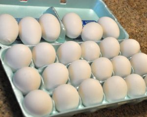 Eggs