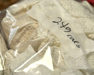 Freezer Breakfast Burritos