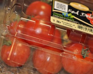 Tomatoes