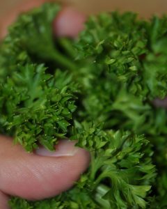 Parsley