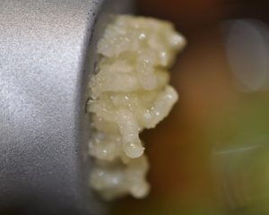 minced garlic