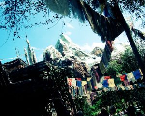 Disney Expedition Everest