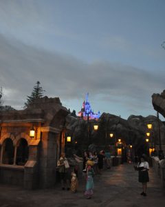 New Fantasyland