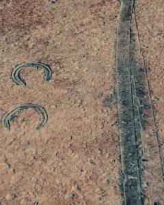 Disney details