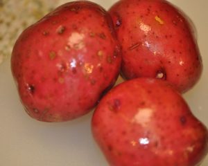 Red Potatoes