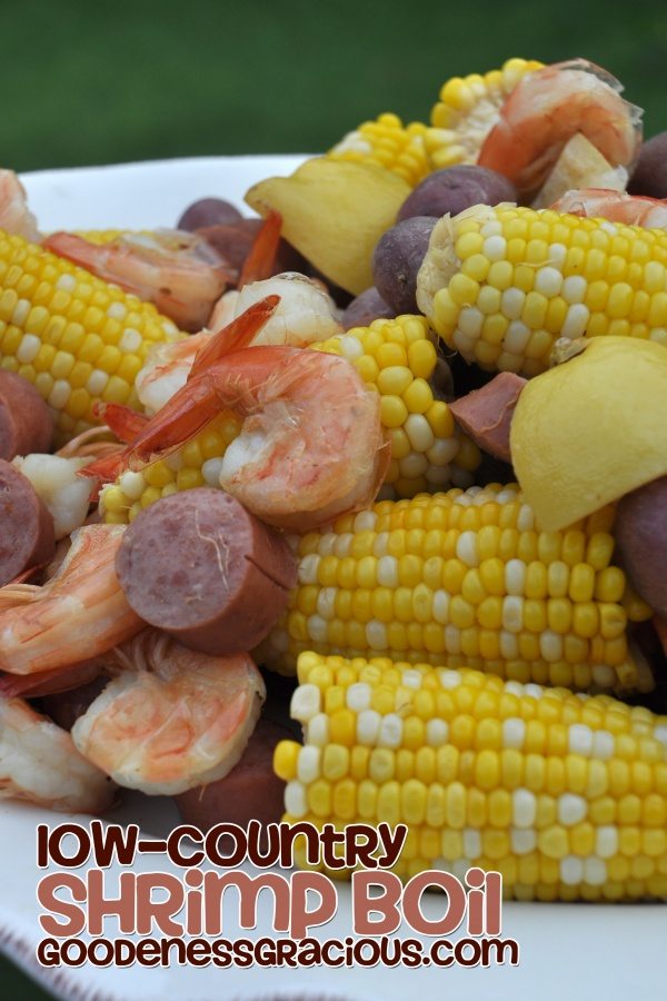 Low-Country Shrimp Boil & Giveaway - GOODEness Gracious
