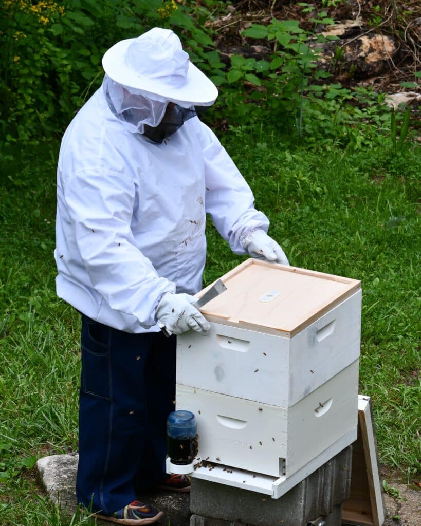 Beekeeper with his hive