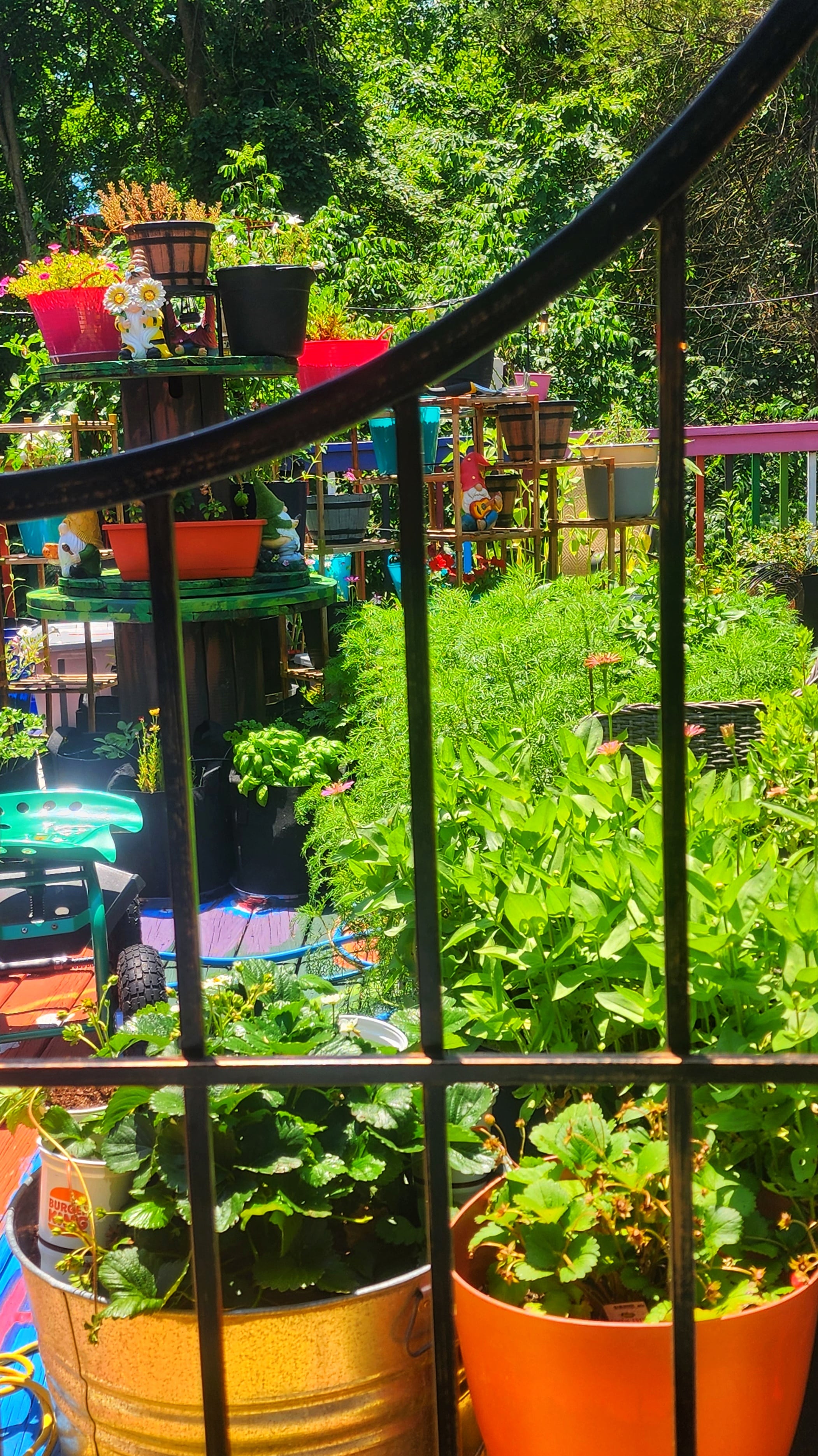 My Secret Garden has a secret that is helping me grow a container garden wonderland on my back deck... via @crisgoode