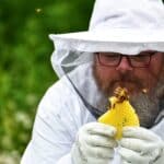 Beekeeper inspecting a piece of honeycomb